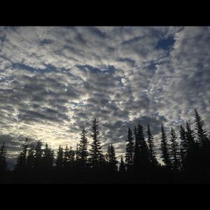 Meet your Posher, Cassi